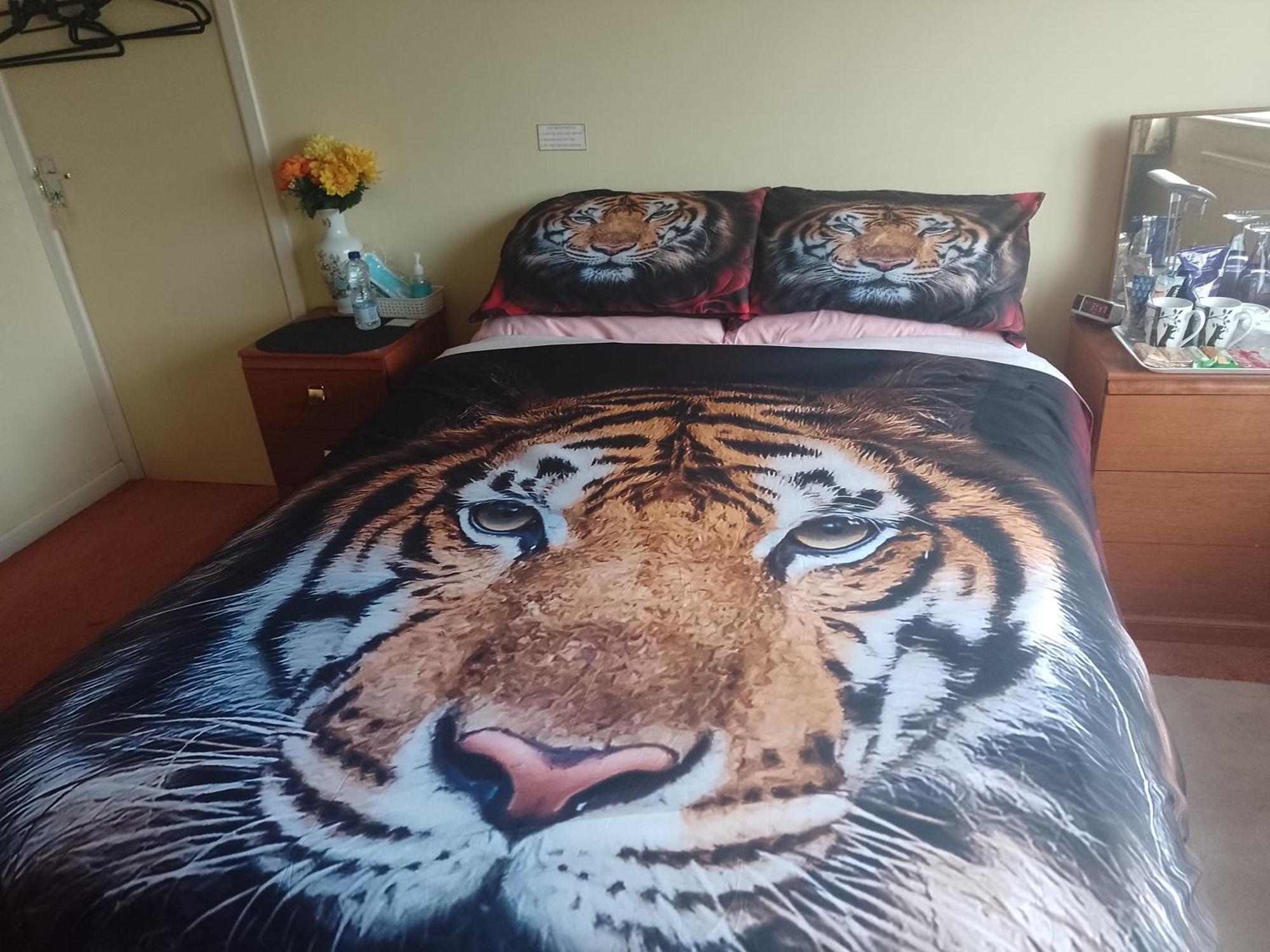 216 Glyn Eiddew Hotel Кардиф Екстериор снимка